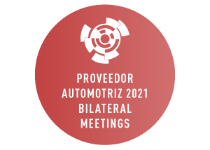 Proveedor Automotriz 2021